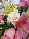 IMG_20231022_095539655.jpg