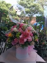 Primavera