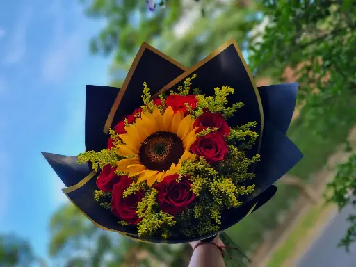 Alegría de verano