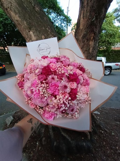 Delicadeza