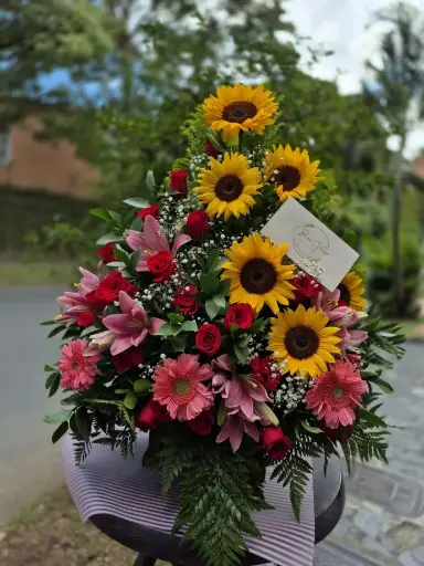 [TJS40] Jardín de felicidad