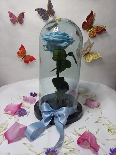Rosa azul claro