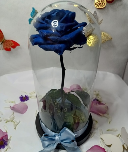Rosa azul oscuro