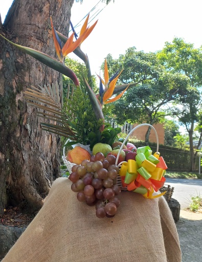 Naturaleza tropical