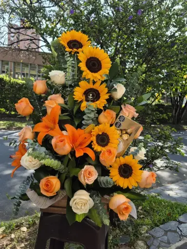 [TLS170] Pequeños Girasoles