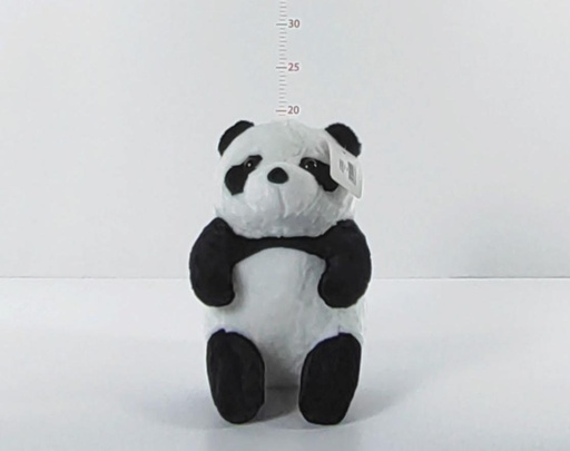 Pandita A 20cm