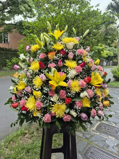 Abrazo de luz
