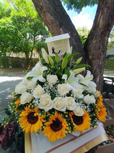 Pétalos del alma