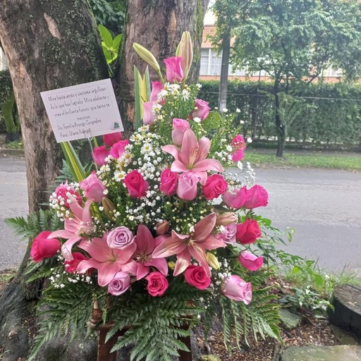 [TPF70] Pureza floral