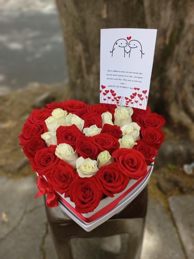 Latidos del corazon