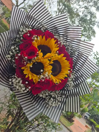 Amor y armonía