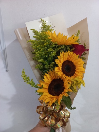 Girasol radiante